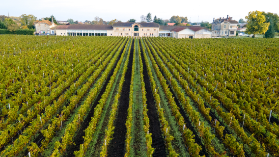Château Clément Pichon