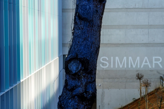 SIMMAR(1).jpg