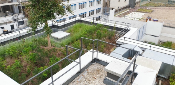 Immeuble Fulton 2