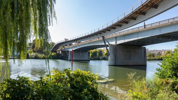 vue de côté de la blanchisserie de la passerelle de l'île aux dames