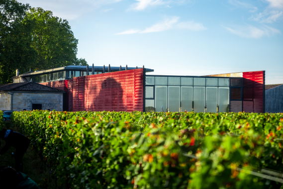 Château La Dominique