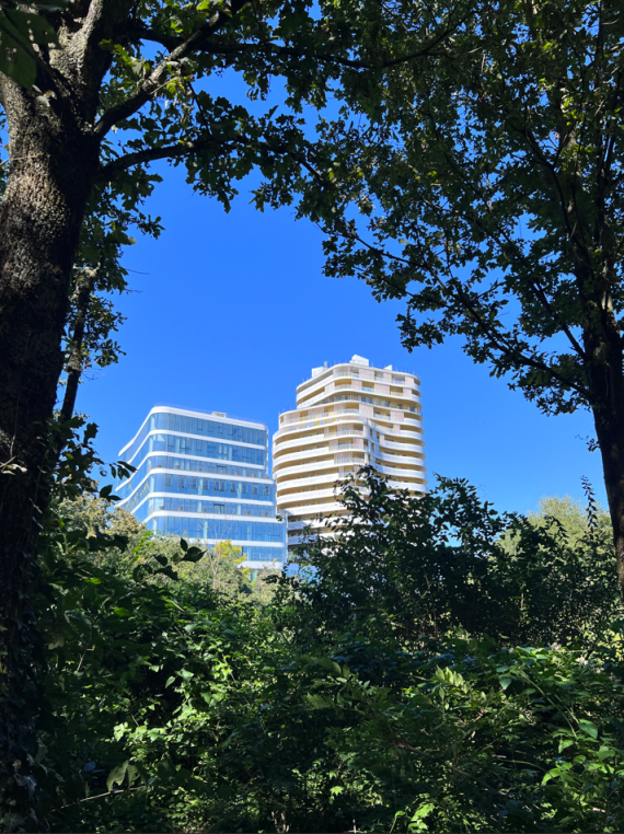 Emblem Lille Nord France Constructions.PNG