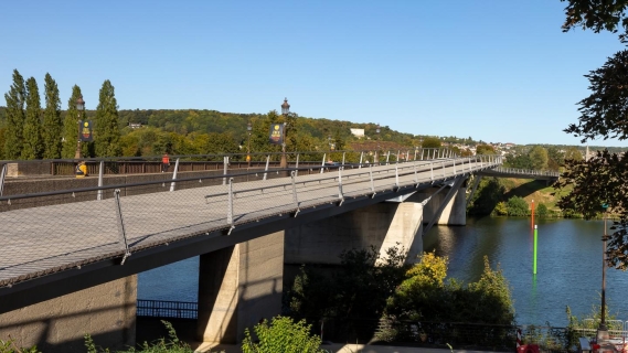 Vu de la passerelle de l'île aux dames