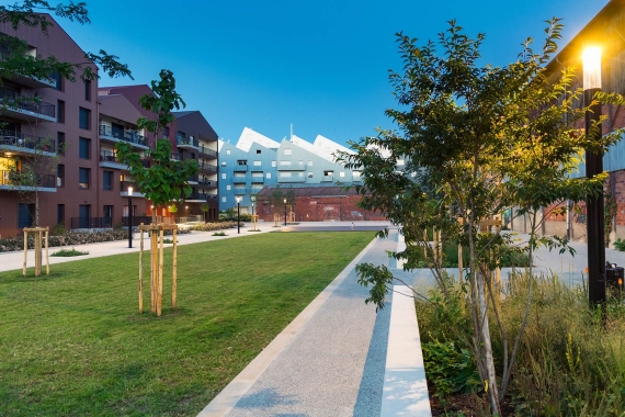chapo-activite-amenagement-urbain.jpg