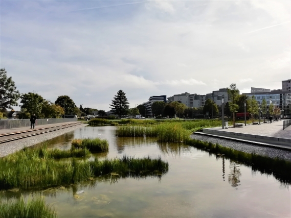 Bassin des nouilles Noisy le grand razel bec travaux