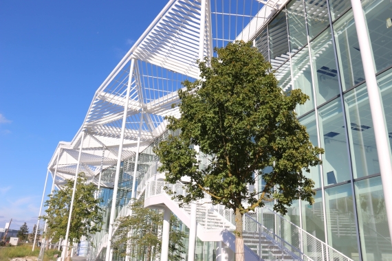 ACML, BARBOT, CASTEL ALU - BEM Palaiseau - 4.jpg