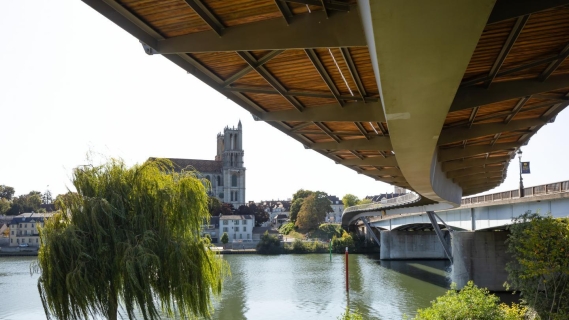 Vu du dessous de la passerelle de l'île aux dames