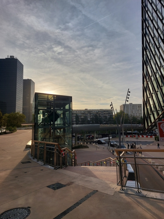 Rose de Cherbourg Razel-Bec la Défense