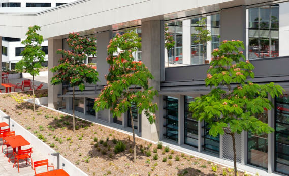 Campus Condorcet 2