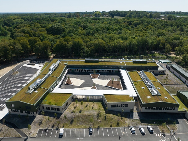 Collège Saint-Selves.jpg